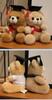 Graduation Gift Bear for Students: Doctoral, Master's, University, Kindergarten