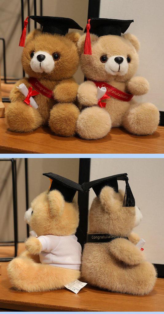 Graduation Gift Bear for Students: Doctoral, Master's, University, Kindergarten