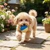 Interactive Squeaky Balls for Dogs Ball Dog Chew Toy, Indestructible Textured Teeth Fetch Toys Pets Cleaning Aggressive Chewers TPR Rubber Pet
