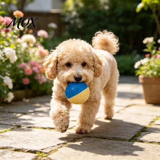 Interactive Squeaky Balls for Dogs Ball Dog Chew Toy, Indestructible Textured Teeth Fetch Toys Pets Cleaning Aggressive Chewers TPR Rubber Pet