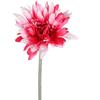 Woondecoratie – Decoratieve bloemen en kransen