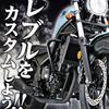 Daytona Motorcycle Helmet Lock Rebel 250/500 (17-23) Helmet Holder 91599