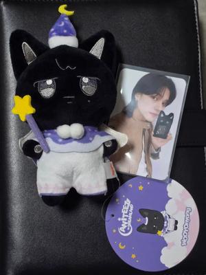 ATEEZ Anity's Dreamland Wooyoung (including Poka) Used