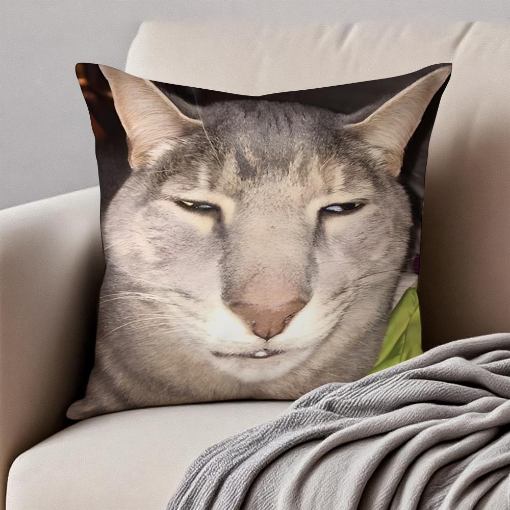 Meme Funny Pet Cat Funny Memes Cushion Cover Pillowcase Antidustmite Invisible Zipper Short Plush Sofa Cushion