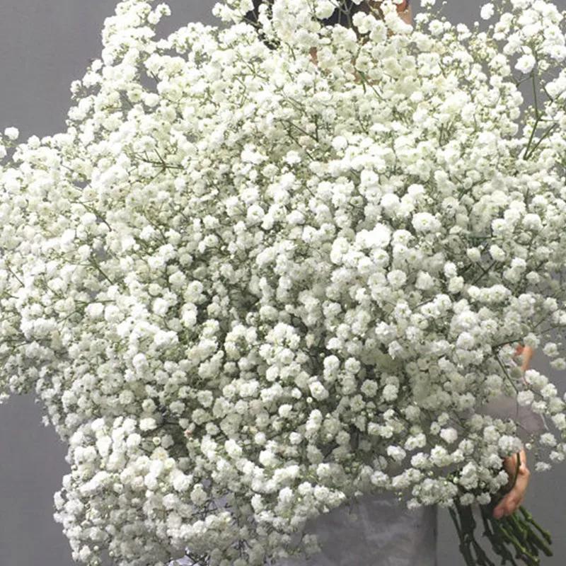 90g Dried Baby Breath Flower Bouquet Natural Dry Flowers Gypsophila Valentines Day Wedding Decoration Home Table Christmas Decor