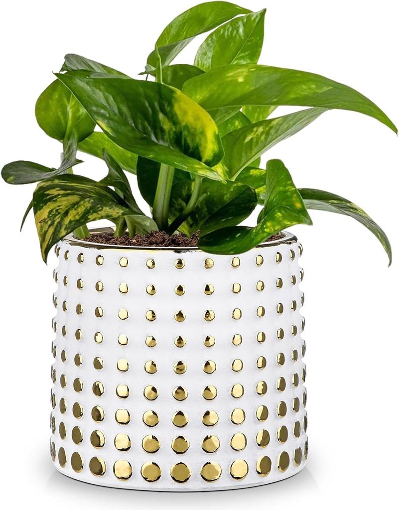 Villa Como Flower Ceramic Stylish with Potted Indoor Gold Pot, Pot, Planter, No. 4.5, Holes, Pot, Plant, Interior, Room, Office, Decoration, White,
