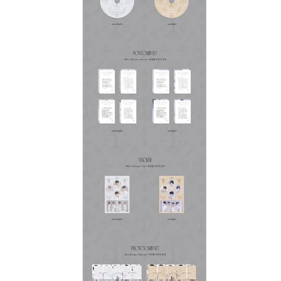 Forestella – Der beginnende Weltenbaum (Sonnenlicht ver.) Veröffentlichungsdatum: 27.12.2024