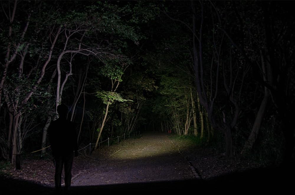 GENTOS LED USB 260 Lumens 6 Hours of Operational Rear View Recognition Uses Dedicated Rechargeable Compact Headlight CP-03R Headlight, Rechargeable,