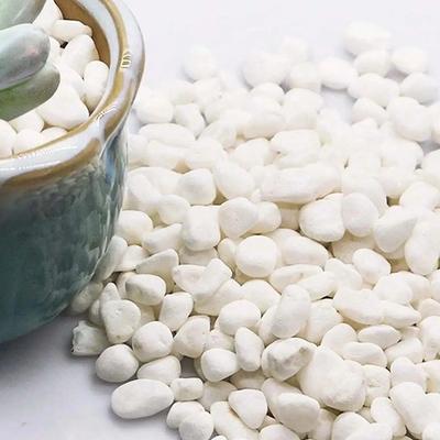 200~400g Kamyki 2-3cm Naturalne Wysoko Polerowane Dekoracja do Akwarium Dekoracja Ogrodu Bruk TMZ