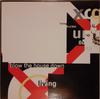 12inch Record LIVING IN A BOX  Blow The House Down CS43363 CHRYSALIS 1989 Canada Dance  Electronica Used