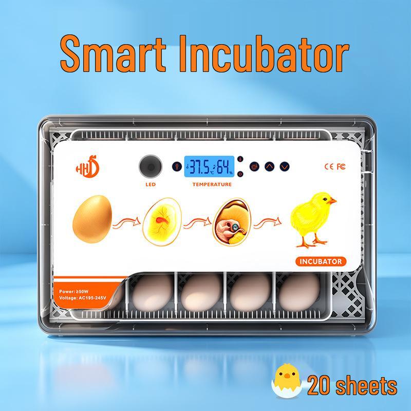 Smart Mini Egg Incubator for Parrots and Budgies: Automatic Pet Hatchery Equipment