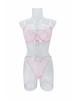 Kajano Sexy Embroidered Multi-color Mesh Lace Push-up Lingerie Set for Women