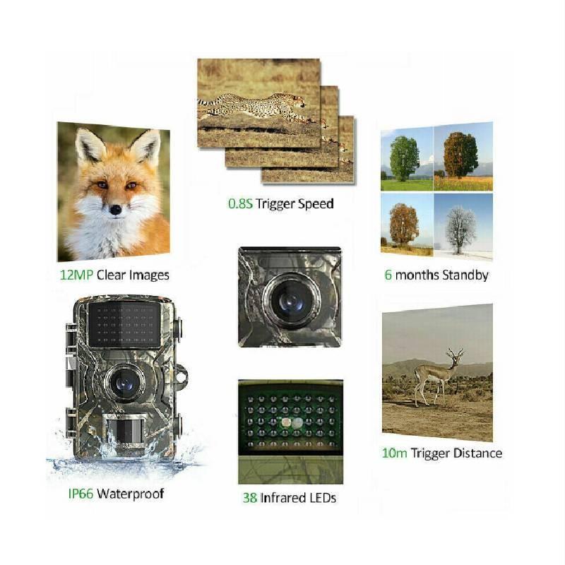 High Definition Wildlife Tracking Camera For Outdoor Use Durable Waterproof Design