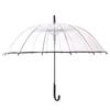 Creative Long-Handle Transparent Automatic Umbrella with White 8-Rib Curved Handle Straight Shaft Two-Person Gift Umbrella