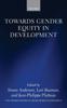 The Towards Gender Equity In Development Book