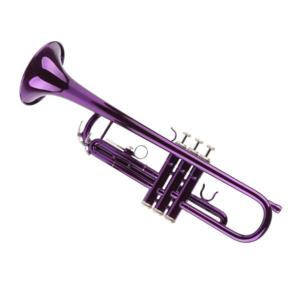 Trompeten-Set B, Messing, Ersatzteile, Musikinstrumentenzubehör mit Aufbewahrungstasche, Lila