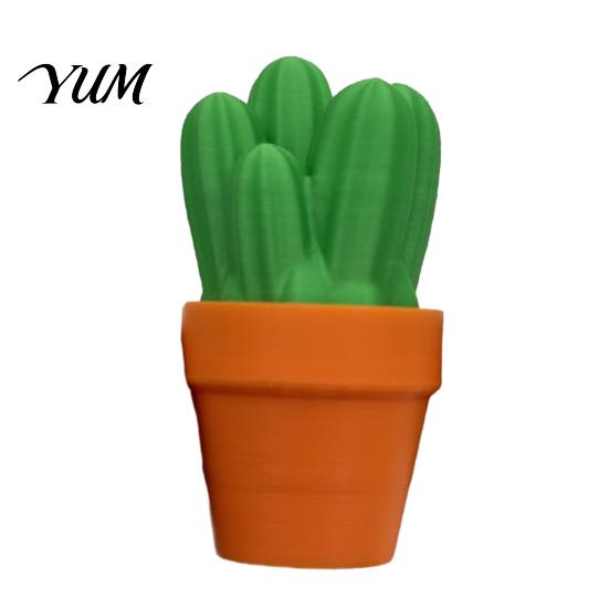 Small Desk Accessory 3D Printed Cactus Fidget Clicker Toy, Simulated Succulents Portable Decompression Toy Ornament, Mini Sensory for Adults