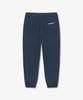SUPRA Round Mountain Graphic Jogger Pants (Blue)