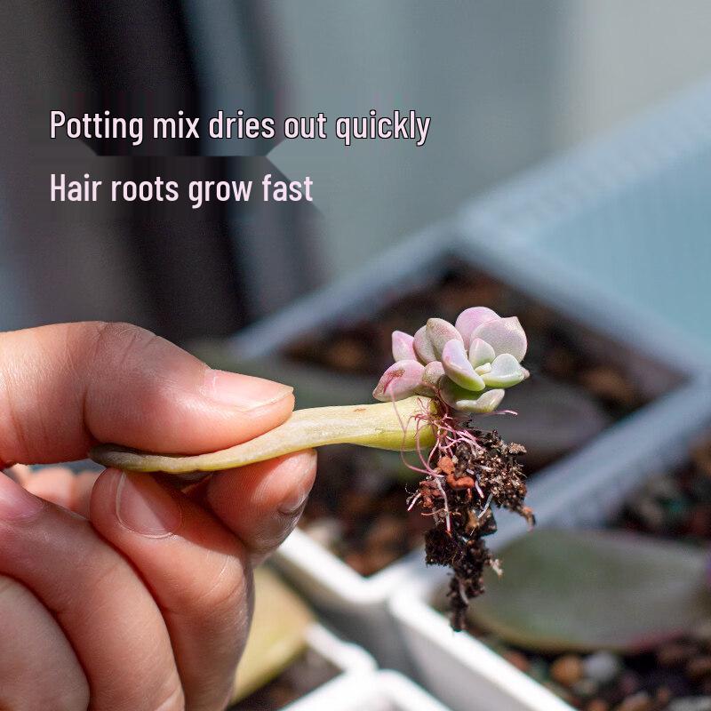 Rectangular Plastic Flower Pot Set with Drainage Tray