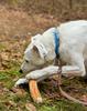 4DOGS Cinnamon Tree Chew Size L
