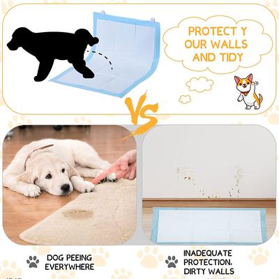 Psi – Péče o psa