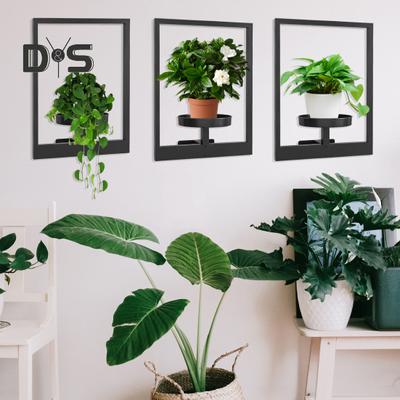 Nástěnný fotorámeček Držák na rostliny Odolný kovový nástěnný rám Stojan na vystavení rostlin Domácí kancelář Obývací pokoj Nástěnný držák Policeový regál na květiny a rostliny