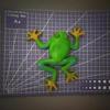 Realistic Frog Toy with Beads – Durable, Squeezable, and Perfect for Teaching Aid