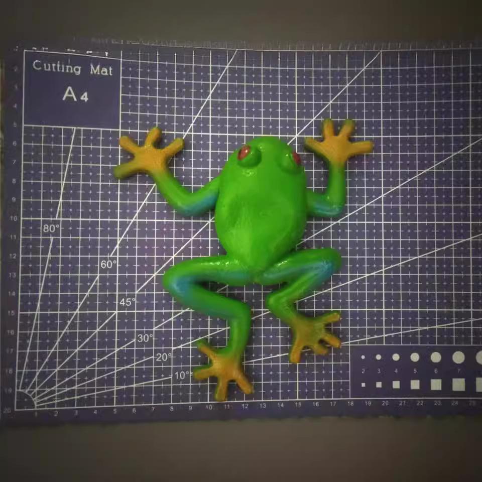 Realistic Frog Toy with Beads – Durable, Squeezable, and Perfect for Teaching Aid