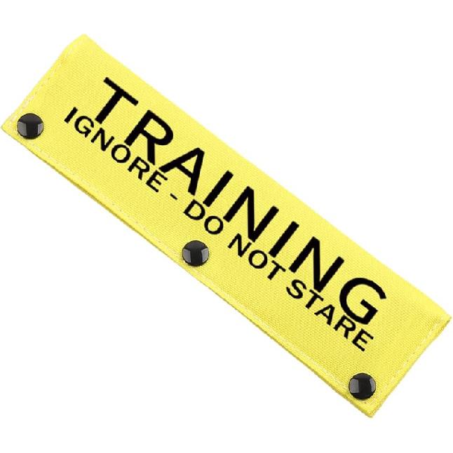 JXGZSO Training Ignore Do Not Stare Reactive Dog Leash Sleeve Dot Not Pet Training Dog Leash Sleeve Service Dog Leash Wrap (Reactive D in Train DLS) T ignore D N STARE DLS