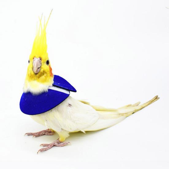 Регулируемый ошейник для восстановления попугая, защита от укусов и травм, фиксирующая лента, ошейник для птиц, аксессуар для домашних птиц