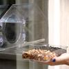 Acrylic Clear Glass Window Birds Hanging Feeder Birdhouse Food Feeding House Table Seed Peanut Suction Cup