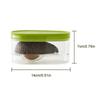 Avocado Food Storage Box Space Saver Plastic Fruit Container for Kitchen Crisper Vegetable Organizer Bag