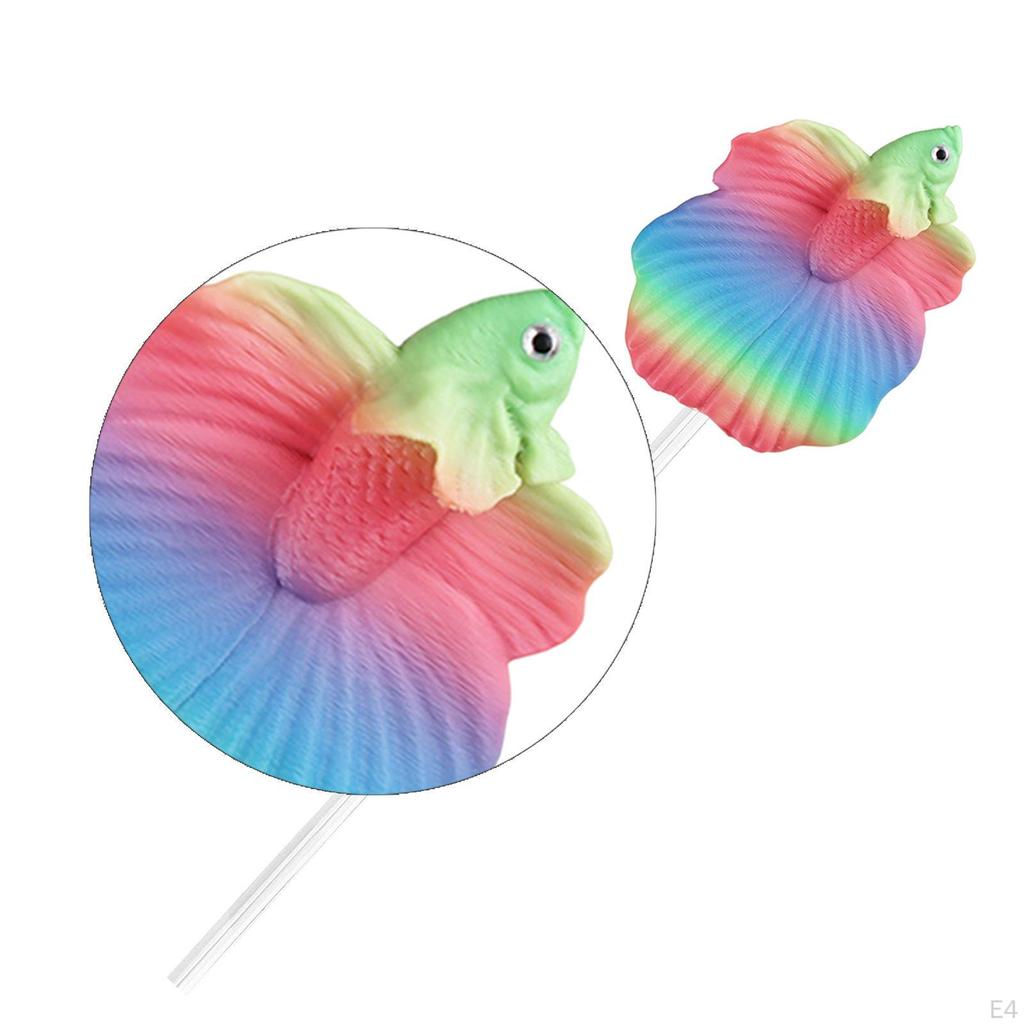 Kampffische zum Trainieren, Ideal für Anfänger. Tragbar, , Und Dekorieren von Aquarien.