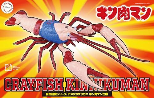 Fujimi model (FUJIMI) Free Research Series No. 243 Kinnikuman Edition American Crayfish Kinnikuman Version Plastic Model