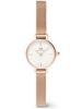 Orologio da Donna Daniel Wellington Petite Mini Oro Rosa Acciaio Inossidabile 19 Mm Dw00100744 + Scatola (Zw523C)