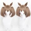 Smart Cosplay Disguise Cosplay Wig with Net and Brown and Falcon-style Wig, Heat-Resistant, 40cm, Wig, Comb, (Wig, Ears, Tail)
