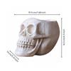 Skull Planter with Sculpted Facial Details Decorative for Tabletop Gardens