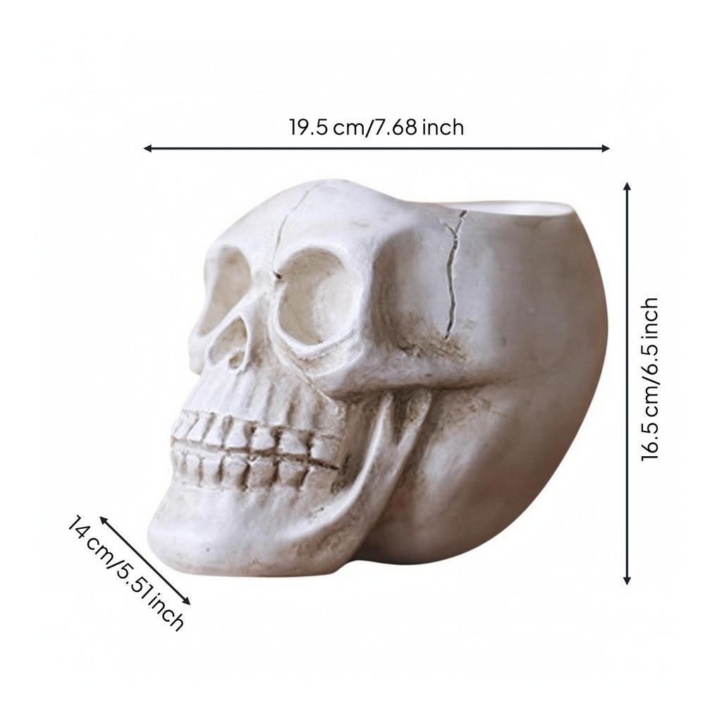 Skull Planter with Sculpted Facial Details Decorative for Tabletop Gardens
