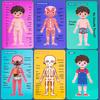 1pc wooden jigsaw puzzles,Human body structure cognition structure biology wood accessories,enlightenment, puzzle,learning