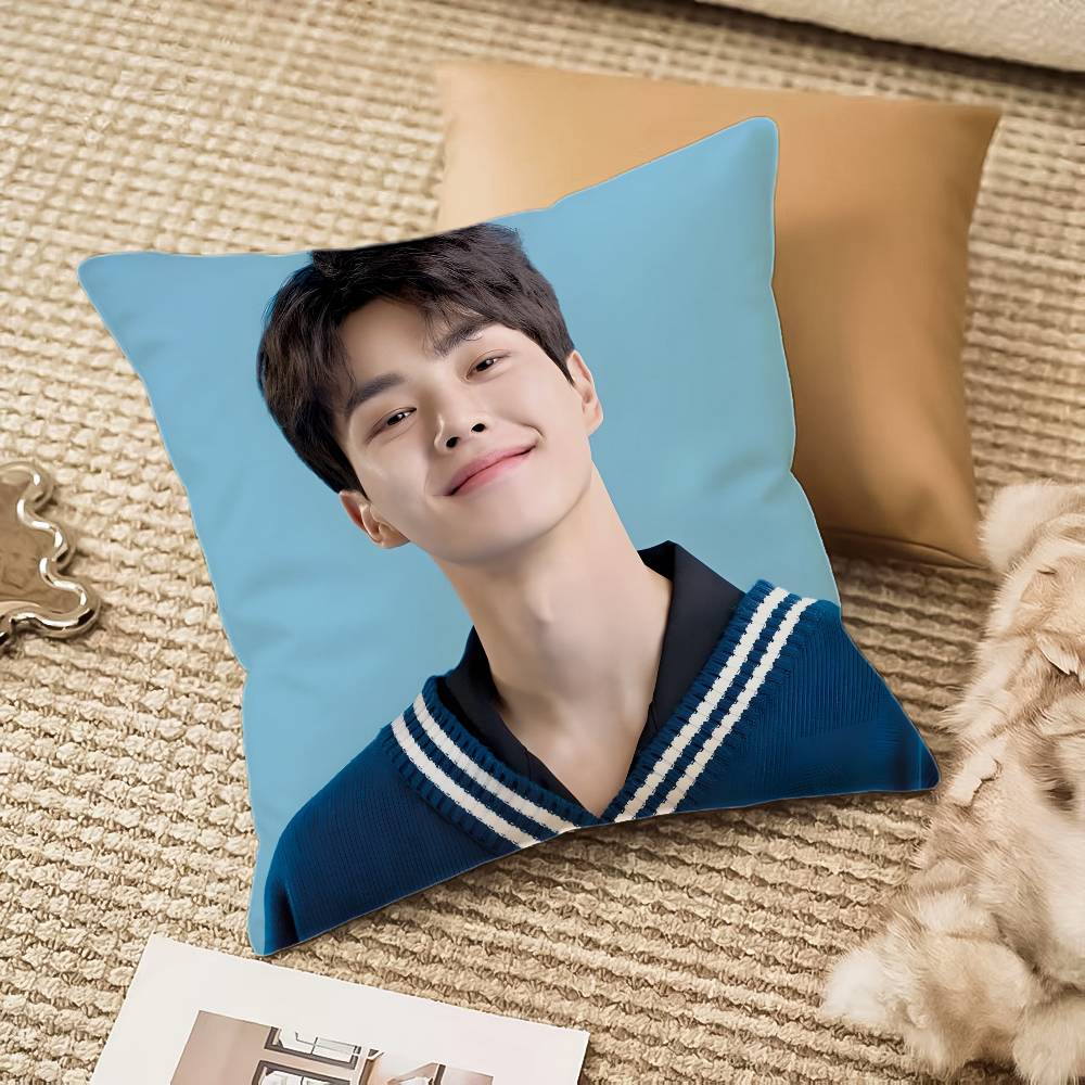 

Song K-kang Pillow Case Anti-dustmite Invisible zipper Sofa Bed 16x16Inch