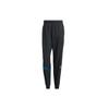 Низ – Спортивні штани й тайтси