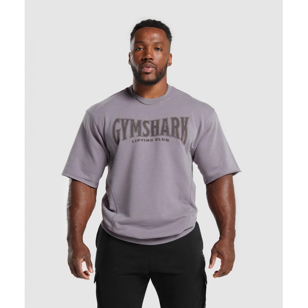 

GYMSHARK Heritage Вымытые противотуманные фары с короткими рукавами фиолетового цвета A4A8D PBVT S