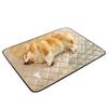 Dog mat for keeping warm in winter pet floor mat for sleeping anti tear and anti urine sleeping mat universal pad for allseasons