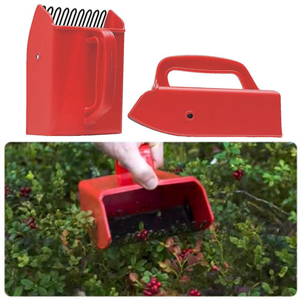 thumbnail image 2 of Berry Picker Comb Plastic Blueberry Rake Scoop For Fruit Harvesting | UK 2 of 12