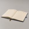 Notebook PTN NOT-6-6300 Gray