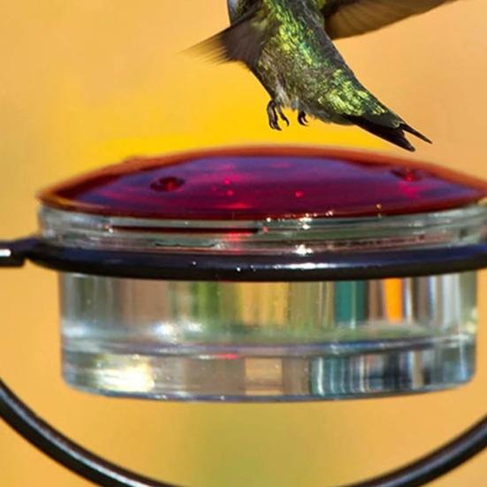 Wunderschöner Hängender Kolibri-Futterspender Ameisen- und Bienensicher Einfach zu Befüllen Verschleißfest Outdoor