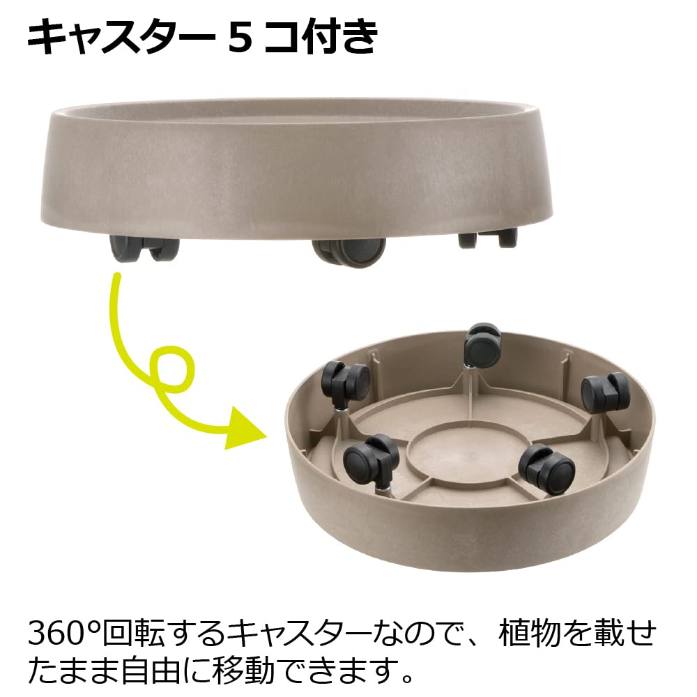 Richell Lapis Caster Plate, Medium, Dark Gray
