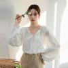 2026 Early Spring French Chic Lace V-Neck Long-Sleeve Women's Shirt