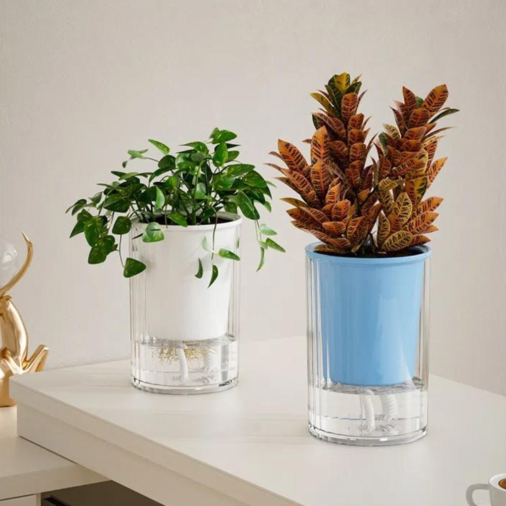 Boho Style Self Watering Flowerpot Transparent Transparent Cylinder Vase Succulents