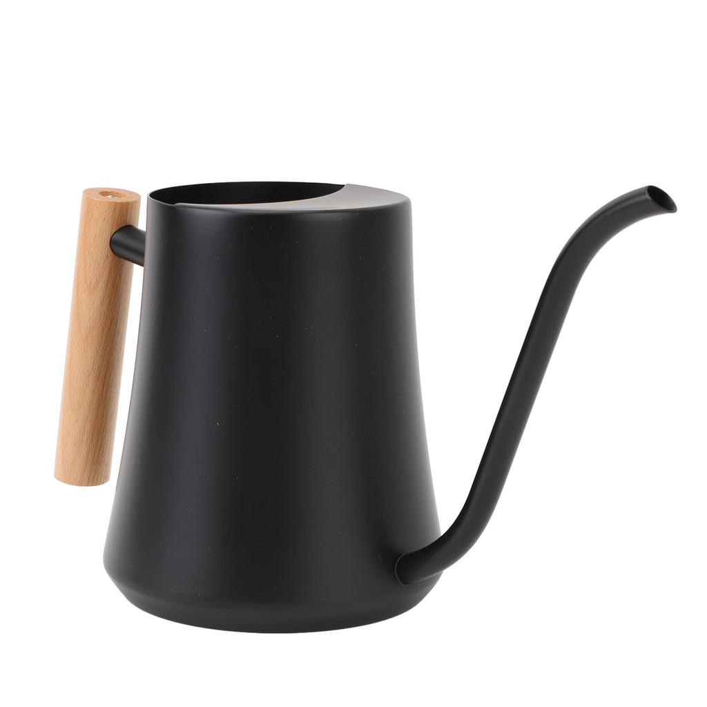 Indoor Watering Can Stainless Steel Wooden Handle Watering Pot with Long Spout for House Plants Flowers Succulents